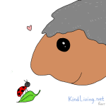 kl-january-small-thing-fish17